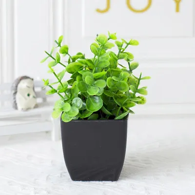 Produktbild von Künstliche Topfpflanze 18 cm, mehrere Sorten