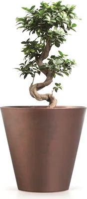 Produktbild von Blumentopf CORTEN Kupfer 25 x 24 cm