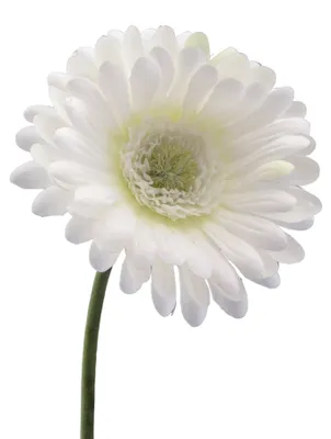Produktbild von Kunstblume GERBERA 50cm WEISS