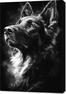 Produktbild von Bild 70x100cm Tierporträt für das Wohnzimmer | Schäferhund | Schwarz Weiß