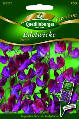 Produktbild von Edelwicken Cupani | Wickensamen von Quedlinburger
