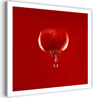 Produktbild von Leinwandbild tomate und wassertropfen rot 30x30 cm Feeby rot wandbild bereit zum aufhängen