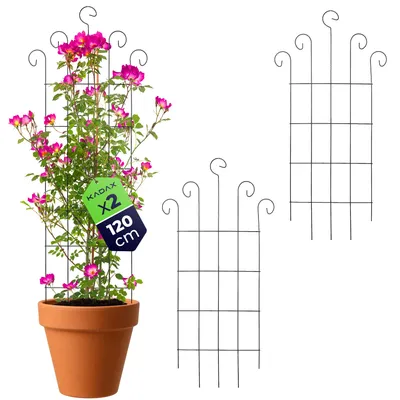 Immagine prodotto di KADAX Graticcio metallico 58 x 120 cm, 2 pezzi, supporto per piante rampicanti come rose e clematidi, graticcio per giardino, balcone e terrazza, graticcio in acciaio