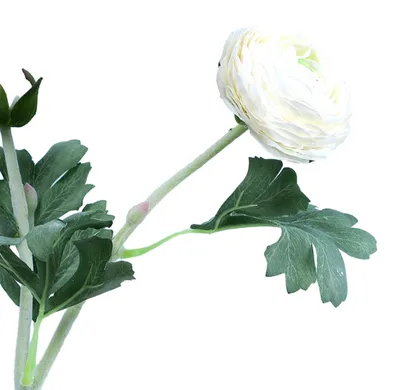 Produktbild von Künstliche Ranunkel (Ranunculus asiaticus) mit 2 Köpfen, realistische Seidenblume mit Stiel, ideal als Tischdekoration für Zuhause, Büro, Hochzeiten, Partys oder als Vase.