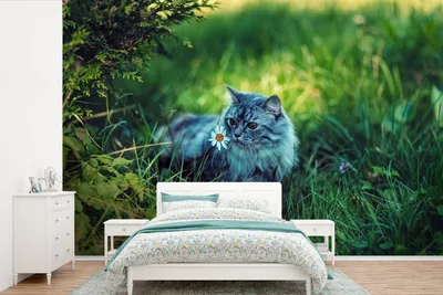 Produktbild von MuchoWow® Fototapete für Wohnzimmer oder Schlafzimmer Wandtapete Vinyl Motivtapete Graue Katze - 420x280 cm - Zimmer für Kinder