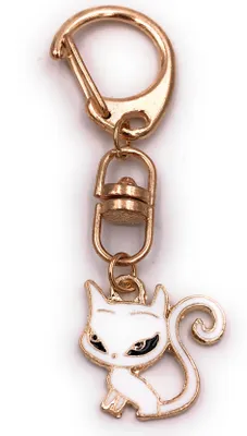 Image de Onwomania Porte-clés chat blanc animal de compagnie chat mignon pendentif or Keychain