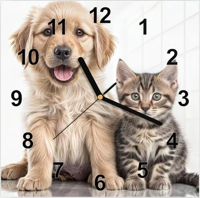 Produktbild von Wanduhr aus Glas mit Motiv Hund und Katze- 30 x 30 cm - inkl. Aufhängesystem