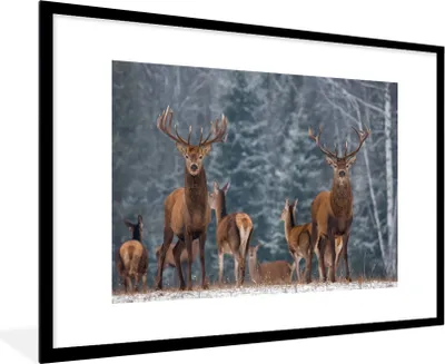 Produktbild von MuchoWow® Gerahmtes Poster Hirsche - Winter - Schnee - Waldtiere - Wald - Natur 90x60 cm - Poster mit Schwarzem Bilderrahmen Wandposter Rahmen Foto Bilder - Wanddekoration - Fotos