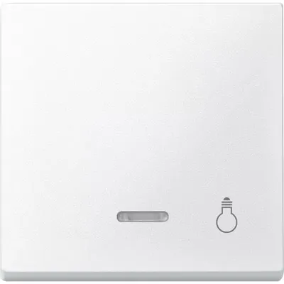 Image de Merten 430919 Bascule avec fenêtre de contrôle et impression Lumière, blanc polaire, système M