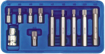 A set of Torx bits and sockets in a blue organizer tray.
