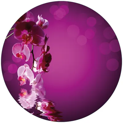 Produktbild von Wallario Premium Glasbild, freischwebende Optik, kräftige Farben, rund 50cm Durchmesser, Motiv Rosafarbene Orchidee  Blüten in pink