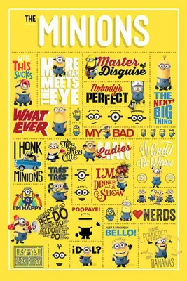 Image de Despicable Me - Infographie - Simplement incorrigible Poster - Taille 61x91,5 cm