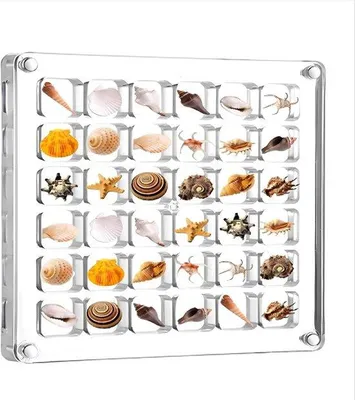 Immagine prodotto di Piccolo scrigno trasparente per conchiglie e sassolini