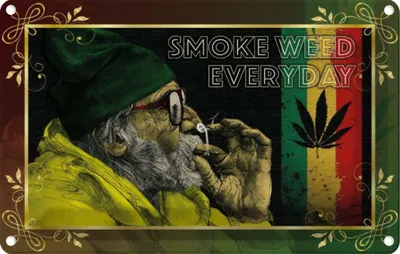 Produktbild von vianmo Blechschild 20x30 cm Cannabis smoke weed everyday