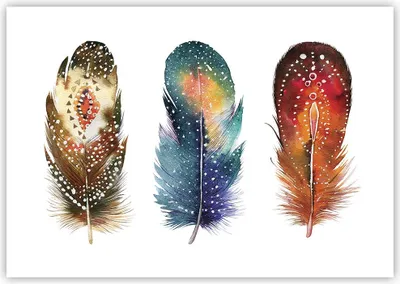 Produktbild von Poster - Poster ohne Rahmen - Feder Vogel Farbe - 100x70 cm - Wand Bild - Wanddeko - Wandbilder - Kunstposter - Wandposter - Bilder - Kunstdruck - Wanddekoration - Wandbild - P2XAA100x70-4927