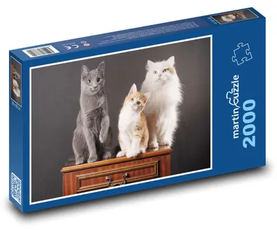 Zdjęcie produktu dla martinpuzzle - Puzzle 2000 - Koty - zwierzęta domowe