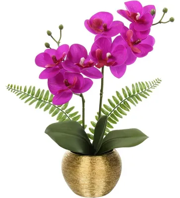 Zdjęcie produktu dla Sztuczna orchidea Phalaenopsis, fioletowa, w ceramicznej doniczce, wysokość ok. 33 cm