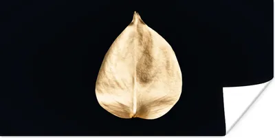 Produktbild von MuchoWow® Poster Blätter - Schwarz und Gold - Schwarz - Gold - Luxus 40x20 cm - Poster für die Wand - Poster Schlafzimmer