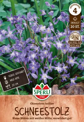 Produktbild von SPERLI Schneestolz Chionodoxa luciliae 20 Zwiebeln