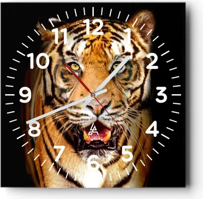 Produktbild von Wanduhr - Quadrat - Glasuhr - tiger tier - 40x40cm - Schleichendes Uhrwerk - Lautlos - zum Aufhängen bereit - Dekoration Modern - Wanddekoration aus Glas - C4AC40x40-4103