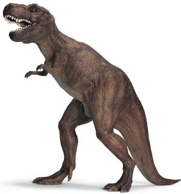 Produktbild von schleich Tyrannosaurus Rex, 3 Jahr(e), Braun, Kunststoff, Holz
