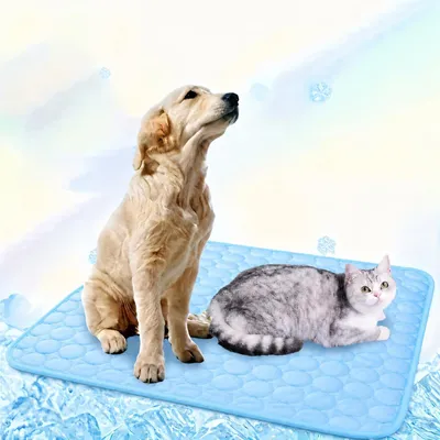 Obrázok produktu pre Klietka pre psov - 55 x 70 cm - Modrá