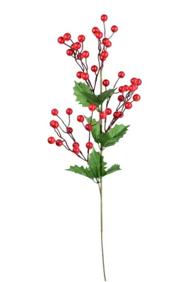 Obrázok produktu pre Vetvička s červenými šípkami 70 cm