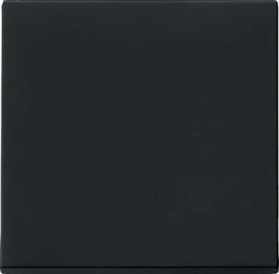 Immagine prodotto di Gira bilanciere, sistema 55, nero opaco, 1 pz.