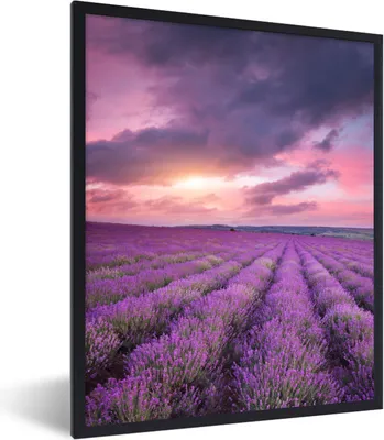 Produktbild von MuchoWow® Gerahmtes Poster Lavendel - Lila - Wolken - Blumen 60x80 cm - Poster mit Schwarzem Bilderrahmen Wandposter Rahmen Foto Bilder - Premium - Wanddeko Wohnzimmer