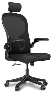 Image de Chaises de bureau - Chaises de bureau gaming - Chaises de bureau ergonomiques - Chaises de bureau pour adultes - Chaise - Noir