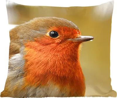 Produktbild von MuchoWow® Zierkissen Sofakissen Wohnzimmer Dekokissen 50x50 cm Vogel - Rotkehlchen - Porträt - Komfort - Sofakissen