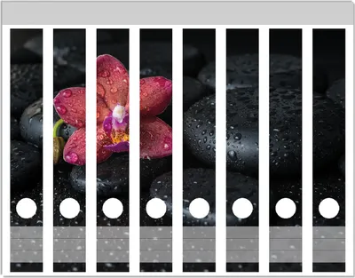 Produktbild von Wallario Ordnerrücken Sticker, selbstklebend für schmale Ordner, 8 Stück, Motiv Orchideen-Blüte auf schwarzen Steinen, benetzt mit Wasser-Tropfen