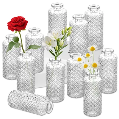 Glasvasen-Set, 12-teilig, Mini-Vasen, 13 cm, transparent