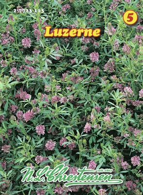 Artikelbild 1 von 'Luzerne' aus der Kategorie Gründünger & -düngung