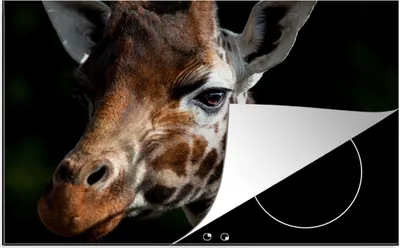Produktbild von KitchenYeah© Herdabdeckplatte Giraffe - Tier - Schwarz , 81x52cm, Küche Deko, Glaskeramikkochfeld Herdabdeckung, Abdeckplatte fùr Kochfeld