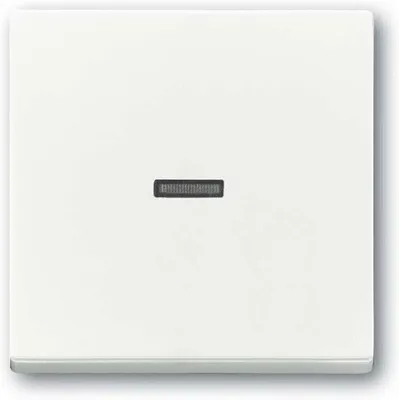 Produktbild von Busch-Jaeger Wippe 1789 N-84 2CKA001751A3150