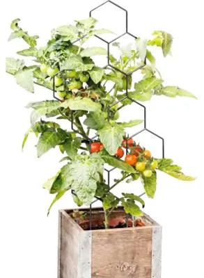 Obrázek produktu pro Mřížka opěrná do květináče FloraSelf 14 x 35 cm