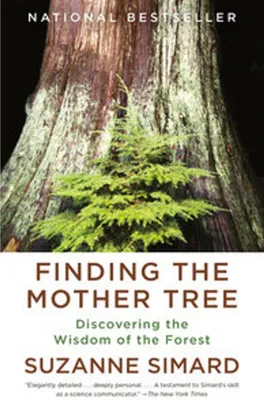 Produktbild von Finding the Mother Tree