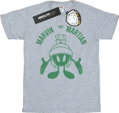 Produktbild von Looney Tunes - T-Shirt für Herren BI50268 (XXL) (Grau)