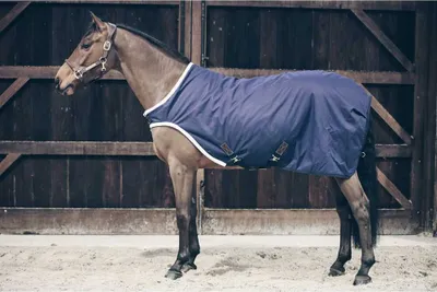 Produktbild von Kentucky Horsewear Führanlagendecke 160g Walker Rug Waterproof Marine 155