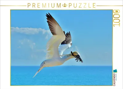 Produktbild von CALVENDO Puzzle Basstölpel im Landeanflug | 1000 Teile Lege-Größe 64x48cm Foto-Puzzle für glückliche Stunden