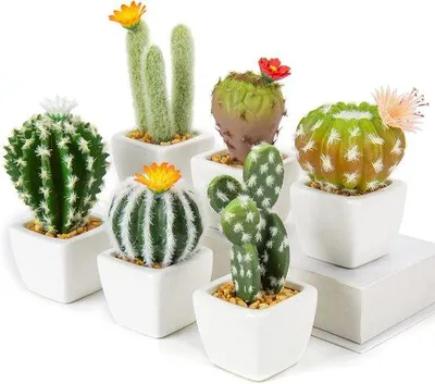 Imagen del producto de Conjunto de mini cactus artificiales en macetas de cerámica. Variedad de suculentas artificiales. Plantas de cactus artificiales en miniatura para decoración