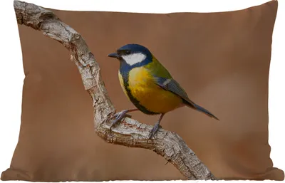 Produktbild von MuchoWow® Outdoor Kissen - Vogel - Kohlmeise - Zweige - 60x40 cm - Wetterfest - Lounge Kissen - Zierkissen - Kissen für Innenräume