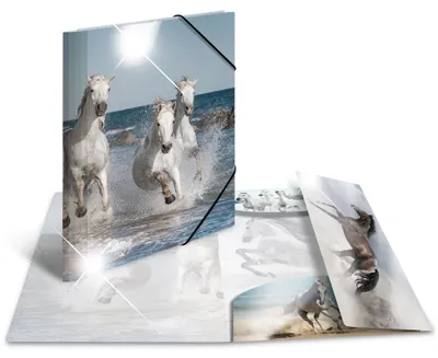 Productafbeelding van Gummizugmappe A4 PP Glossy Pferde