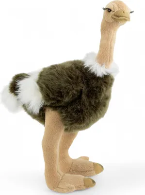 Image de Carl Dick Oiseau Autruche env. 30cm, peluche, animal en peluche, doudou 3711