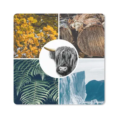 Produktbild von MuchoWow® Mauspad Mousepad Schottische Highlander - Collage - Pflanzen - Baum 20x20 cm - Mousepads - Maus Mat - Pad - Mausunterlage - Desk Mat - Bureauartikeln