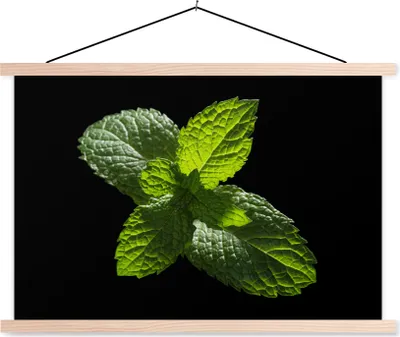 Produktbild von MuchoWow® Textilposter Eine Nahaufnahme von Minzblättern vor einem schwarzen Hintergrund 60x40 cm mit holzfarbenen Rahmen - Bilder