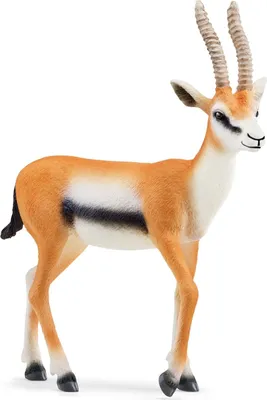Productafbeelding van Schleich Wild Life: Thomson-gazelle