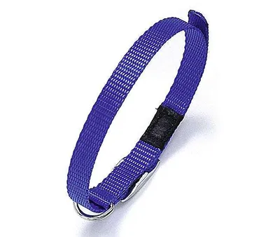 Produktbild von Karlie ASP Halsband - Blau - 25 mm, 55 cm