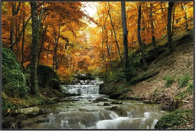 Produktbild von Wallario Wandbild Kleiner Bach über Steine im Herbstwald, Größe: 61 x 91,50 cm, Poster mit schwarzem Aluminiumrahmen